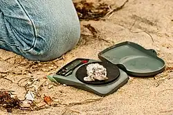 Взвешивание птенца карликовой крачки