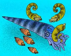 Камероцерас