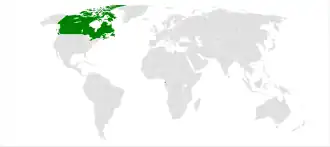 Экваториальная Гвинея и Канада