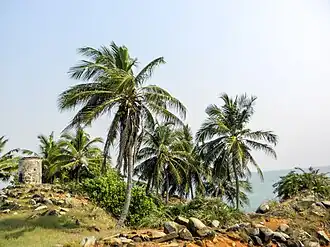 Руины маяка 1875 года на мысе Три-Пойнтс