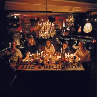 Обложка альбома The Cardigans «Long Gone Before Daylight» (2003)