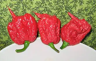 Плоды сорта 'Carolina Reaper'
