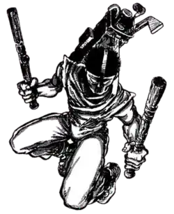 Кейси Джонс в комиксах Mirage StudiosХудожник — Питер Лэрд.