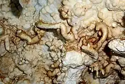 Геликтит в пещере Арджери (Медвежьей)