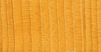 Древесина кедра.