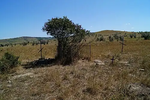 Заброшенное немецкое кладбище