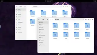 Скриншот программы GNOME Files