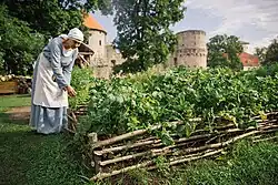 Средневековый огород Цесисского замка