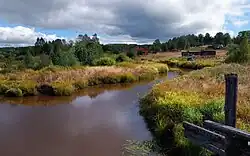 Чернушка в посёлке Черниговский