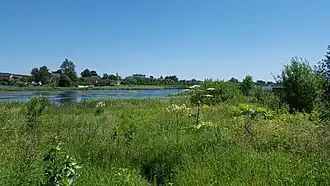 дорога в деревне