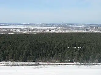 Chernyaevskiy Forest