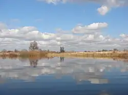 Чигла весной