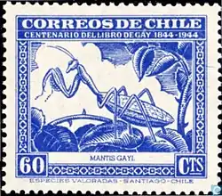 Богомол Coptopteryx gayi на марке Чили 1948 года — первая марка с изображением богомола