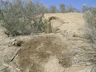 Всё, что осталось от землянки экспедиции русского археолога С.П. Толстова, 1946 года.