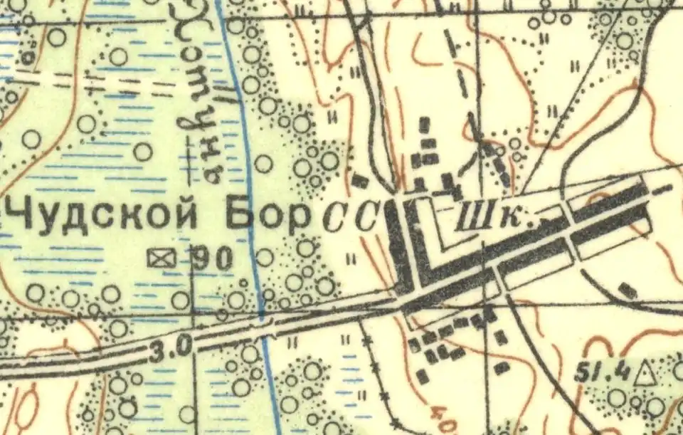 План деревни Чудской Бор. 1937 год