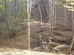 Чуин-Елга у кордона Молочный