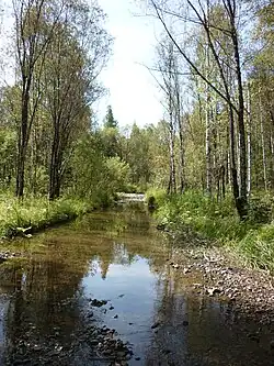 Река Чулеш летом 2014 года