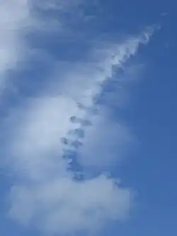 Перистые хребтовидные – Cirrus vertebratus (Ci vert)