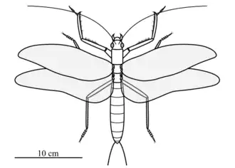 Спекулятивная реконструкция