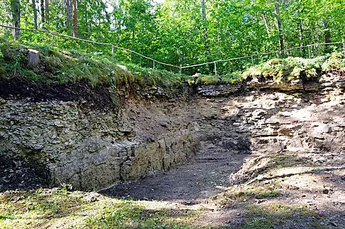 Платформенные осадки ордовикского периода в Поркуни, расчищенные в 2017 году