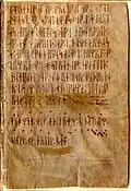 Страница из Codex runicus