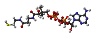 Изображение молекулярной модели