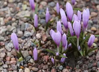 Нет доступного изображения