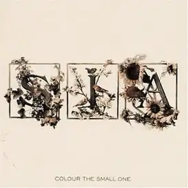 Обложка альбома Сии «Color the Small One» (2004)