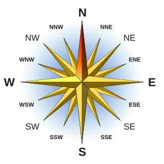 Ружа вятроў