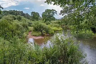 Место слияния двух рек.Ить справа, Соньга - слева.