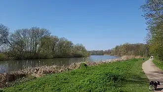 Восточная часть пруда весной 2018 года