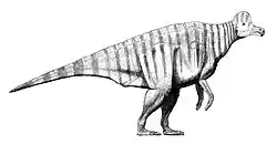 Corythosaurus casuarius
