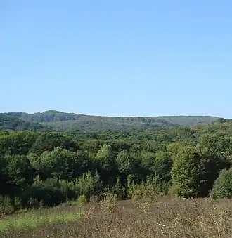 Козминский лес