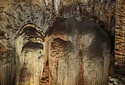 Сталагмит «Слон»