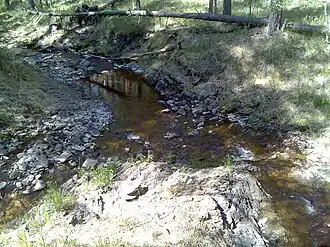 Впадение безымянного ручья в Правую Сарангу