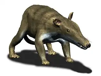 Реконструкция внешнего вида (компьютерная анимация)