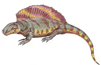 Реконструкция Ctenospondylus casei