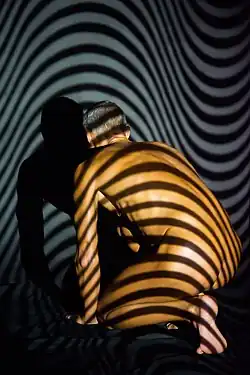 Изогнутые линии, 2017