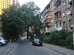 Партизанський дуб