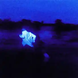 Обложка альбома Дэниела Сизара «Never Enough» ()