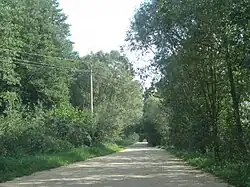 Дорога в Начу