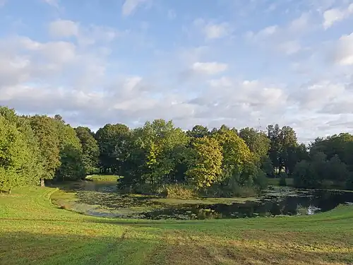Вид с литоринового уступа на нижний пруд Демидовского парка, с места где находилось усадьба Демидовых (сентябрь 2024 г.).