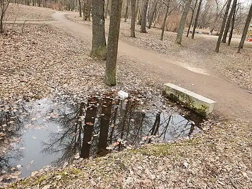 Канавки парка из-за большого количества листьев и мусора перестали работать и в них неделями стоит вода (апрель 2023 г.).