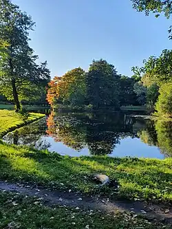 В нижней частио парка около большого пруда (сентябрь 2024 г.).