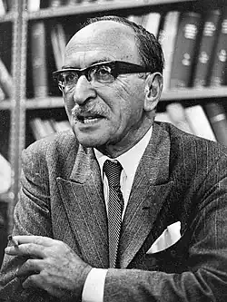 Денеш Габор (1971)