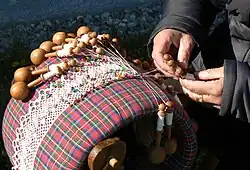 Большие луковицы, чтобы бросать время от времени, Cogne