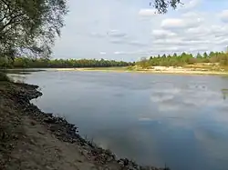 Десна около села