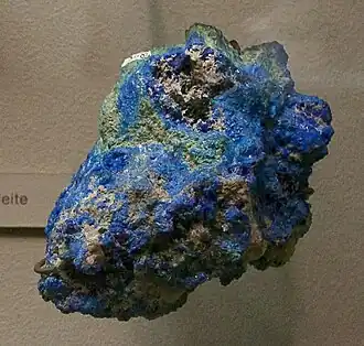 Диаболеионт в Американском музее естественной истории в Нью-Йорке