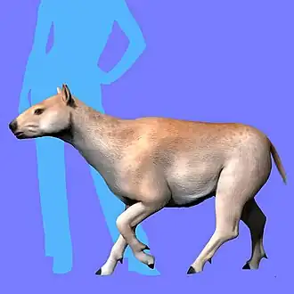 Реконструкция Diadiaphorus majusculus