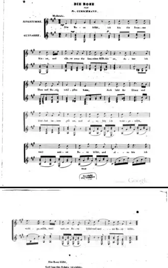 Обложка песни  «Die Rose blüht, ich bin die fromme Biene»